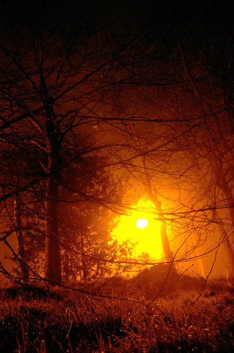 DSC 2548